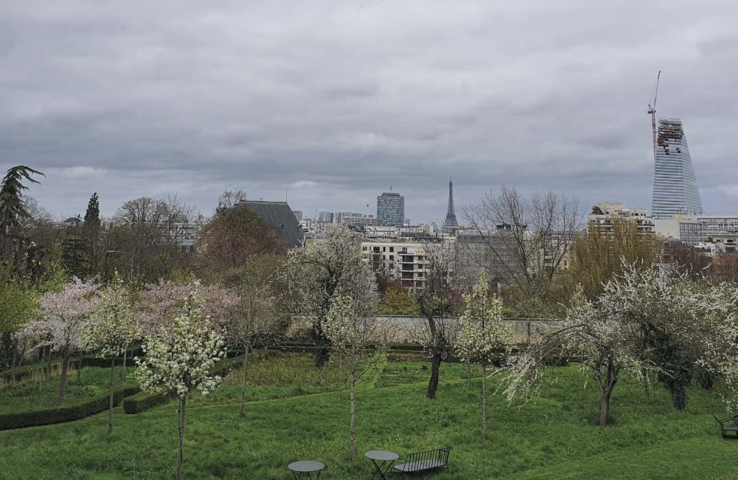 2. Créer et développer un jardin potager