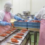 COMMANDE DE DENRÉES ALIMENTAIRES PAR L’HÔTEL : sévérité du juge à l’endroit du fournisseur comme du transporteur