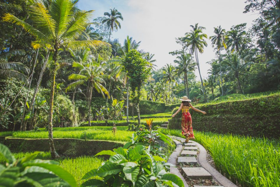 Ubud (Bali - Indonésie) devrait figurer parmi les destinations les plus prisées en 2024. ©Shutterstock 